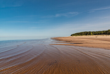 Empty sandy beach of Baltic sea at sunny spring day