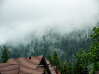 fog on the lake