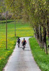 people on bicycle pass dandelions in field near winterberg in german sauerland