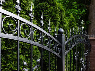 black metal fence with gate