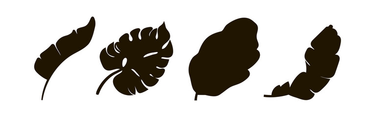 Set of four leaves. Black silhouette of the leaves. Vector illustration isolated on a white background