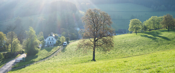 trees and fields near village in beautiful sauerland countryside during spring in germany