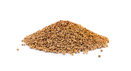 Coriander Seeds Isolated, Cilantro Grains, Chinese Parsley Seed Group, Dry Spices, Seasonings