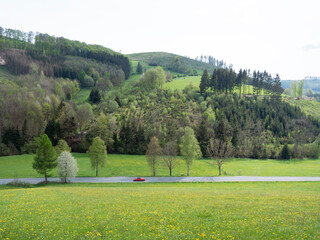 red car on road in spring valley near winterberg in german sauerland