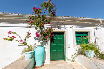 A small Greek house with a large Bougainvillea tree in Corfu.