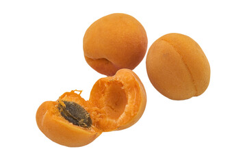 Apricot