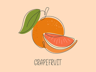 Doodle fresh juicy Grapefruit card. Abstract Tropical citrus fruit background. Element for design. Ingredient for lemonade, cocktail, tea