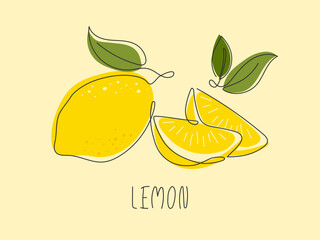 Hand drawn fresh juicy Lemon. Tropical citrus fruit background. Element for design. Doodle outline illustration. Ingredient for lemonade, cocktail, tea, dessert