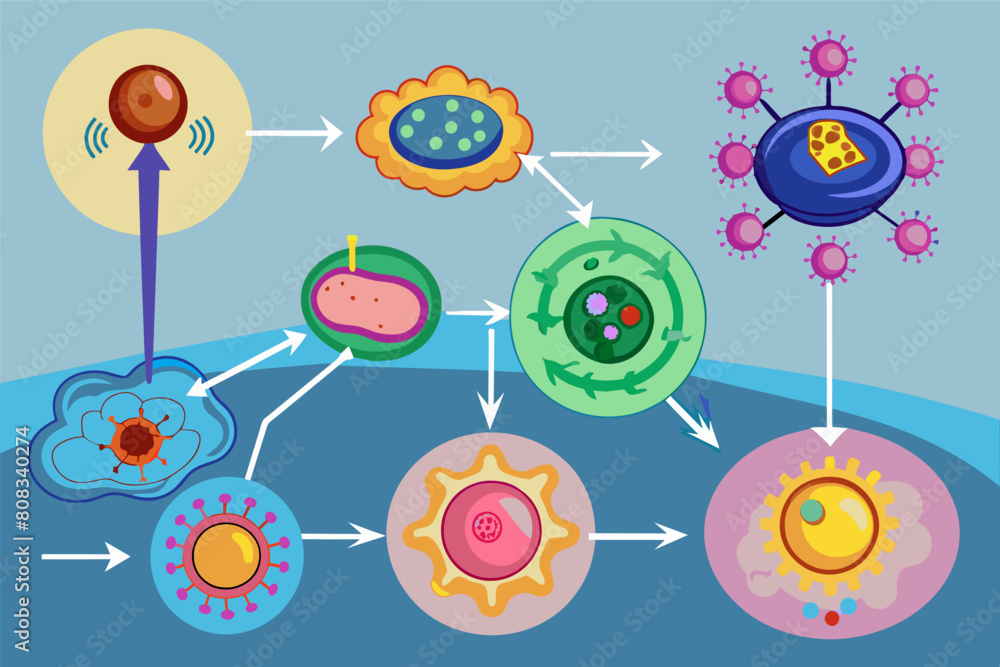Poster colorful illustration of eight abstract cells connected by arrows, showing a sequence or flow of bio