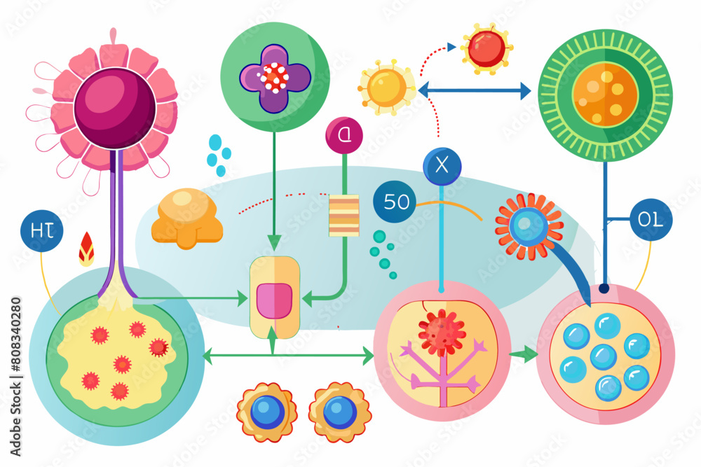 Poster colorful illustration of eight abstract cells connected by arrows, showing a sequence or flow of bio