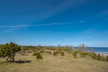 landscape view to Baltic sea from Ugu cliff in Muhu island, Estonia on sunny spring day