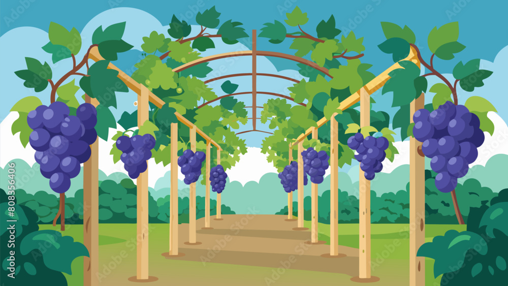 Poster gvines wind up trellises tered throughout the garden offering a sense of abundance and growth within