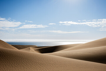 Sand Dunes in Sandwich Bay, Namibia