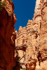Bryce Canyon National Park in Utah. Hoodoos in giant natural amphitheaters along Paunsaugunt...