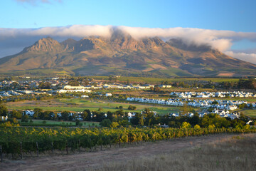 View of Stellenbosch South Africa and local vineyard