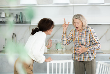 Two livid women brawling heatedly to each other in front of white kitchen cabinet