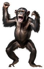 PNG Happy smiling chimpanzee dancing wildlife monkey mammal.