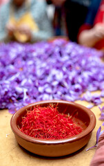 Spanish saffron plantation, saffron container with saffron and saffron petals