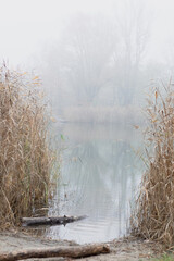 Misty Morning at the Lake with Beautiful Reflection of Trees in Water and Path Leading into Distance