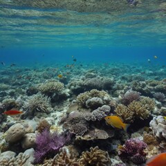 Obraz premium crystal clear ocean with colorful fish