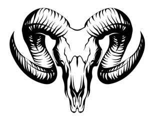 Goat Skull. Isolated illustration of horns and skull of ram. Skull of hoofed herbivore animal with large horns. Logo illustration of an animal bone.