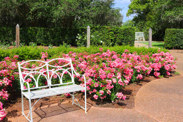 Fancy white iron bench set in a rose garden surrounded by quiet scenery