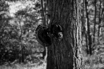 A tactical helmet and active tactical headphones hang on a tree branch. Defense of the military,...