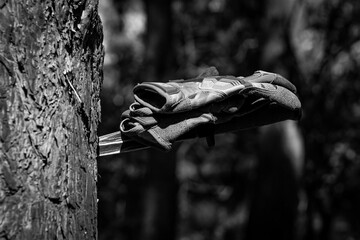 Tactical gloves on top of a tactical knife with a blade stuck in a tree.
Military ammunition,...