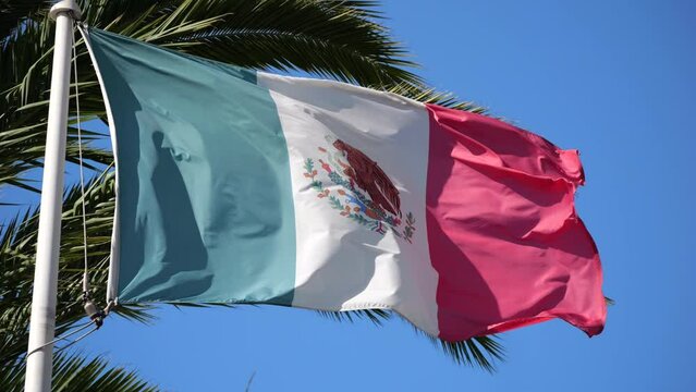 Mexican Flag flying in Wind