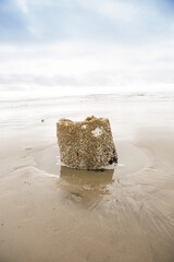 Oregon Coast, Peter Iredale, shipwreck, Fort Stevens State Park