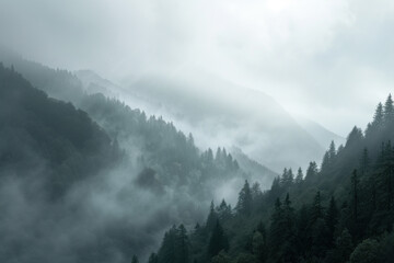 Misty mountains enveloped in fog, creating a mystical and serene forest landscape in subdued green tones. - Powered by Adobe