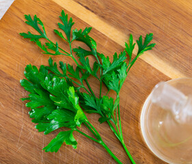 Vegetable ingredients for cooking, organic parsley herbs on wooden board