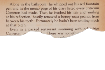 Ripped old book page side border isolated transparent