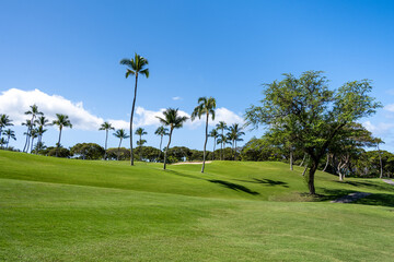 Scenic tropical golf course with palm trees on a sunny blue sky day, sand trap and putting green in...