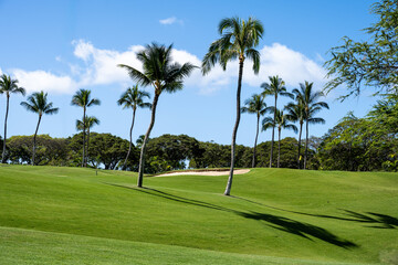 Scenic tropical golf course with palm trees on a sunny blue sky day, sand trap and putting green in...