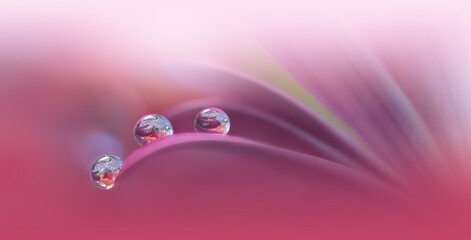 Beautiful Macro Photo.Colorful Flowers.Border Art Design.Magic Light.Close up Photography.Conceptual Abstract Image.Pink and Violet Background.Fantasy Floral Art.Creative Wallpaper.Beautiful Nature.