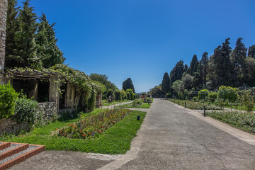 Garden of the Franciscan monastery on the hill of Cimiez. The garden and church of the Cimiez monastery have been used by Franciscan monks since the 16th century. Nice, France.