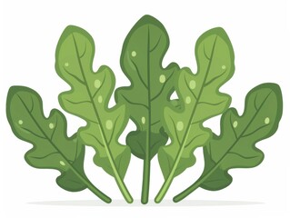 Vector illustration of arugula leaves isolated on a white background, with a stylized, cartoon-like appearance.