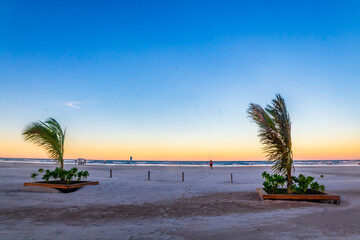 Palm trees and wind on the Miramar beach of Tampico Madero in Tamaulipas