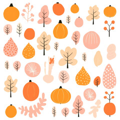PNG  Autumn pattern backgrounds plant food.