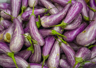 close up on fresh eggplant in heap