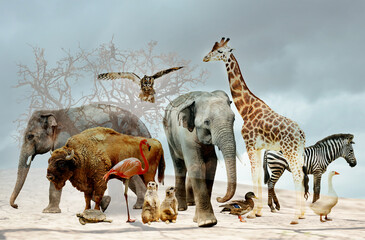 Double exposure of different animals and dry tree among parched soil. Global warming, climate change