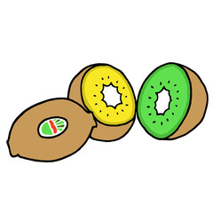 キウイフルーツ　イラスト