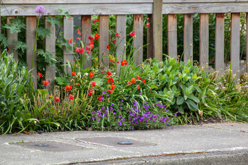 fence with flowers