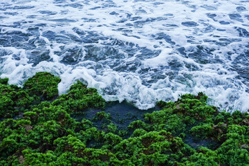 waves crashing on rocks covered in green seaweed