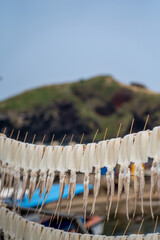 반건조 오징어가 걸려있는 어촌마을의 풍경