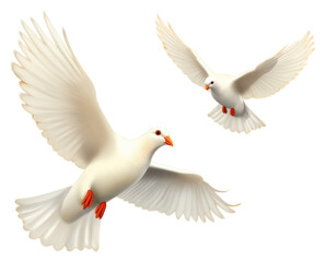 Obraz premium PNG Wedding doves animal flying bird.