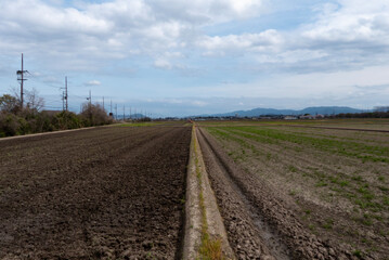 春の静かな田畑の風景　農耕作業　直線が描かれた農地　農地の背景　滋賀県草津市平湖畔