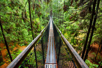Redwoods Whakarewarewa Forest - Rotorua - New Zealand