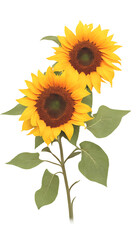 The beauty of natural flora with sunflowers
